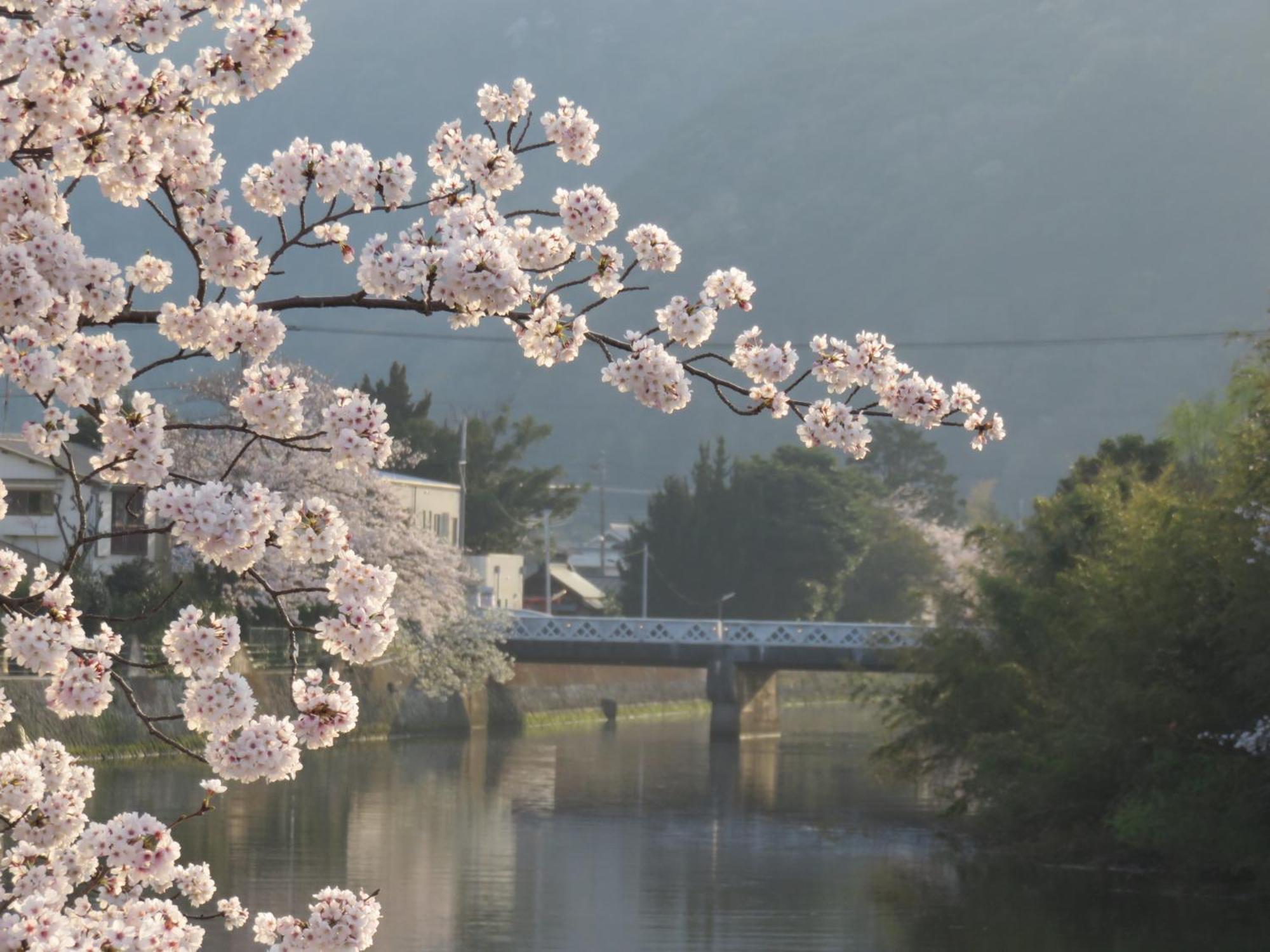 御宿しんしま Matsuzaki  ภายนอก รูปภาพ